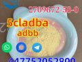 CAS 2709672-58-0 5cladba ADBB Free Samples