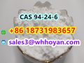CAS 94-24-6 Tetracaine China Manufacturer High Quality