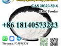 Factory Supply BMK Powder CAS 20320-59-6 With High Purity
