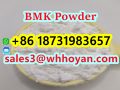 New BMK Powder CAS 5449-12-7 powder supplier