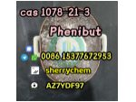 Best Quatliy Phenibut Powder Phenibut HCl Powder CAS 1078-21-3 #1