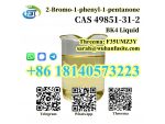BK4 Liquid CAS 49851-31-2 2-Bromo-1-phenyl-1-pentanone With High Purity #1