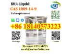 BK4 Liquid Valerophenone CAS 1009-14-9 with Best Price #1