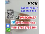 CAS 28578-16-7 PMK Ethyl Glycidate CAS 2503-44-8 Canada USA Warehouse #4