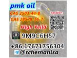 CAS 28578-16-7 PMK Ethyl Glycidate CAS 2503-44-8 Canada USA Warehouse #5