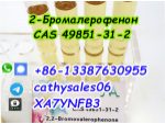 CAS 49851-31-2 2-Bromovalerophenone Russia warehouse pickup #4