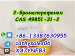 CAS 49851-31-2 2-Bromovalerophenone Russia warehouse pickup #5