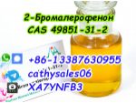 CAS 49851-31-2 2-Bromovalerophenone Russia warehouse pickup #6