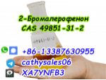 CAS 49851-31-2 2-Bromovalerophenone Russia warehouse pickup #7