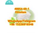 Etizolam 40054-69-1	hot sale	e3 #1