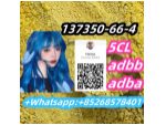High Quality 5CL adbb adba137350-66-4 #1