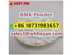 New BMK Powder CAS 5449-12-7 powder supplier #1
