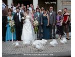 Porumbei albi pentru nunti Constanta #2