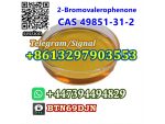 Russia Hot Sale BMF 99% Purity 2-Bromovalerophenone cas 49851-31-2 Telegram/Signal+8613297903553 #4