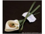 Un model de floare de cala draguta si delicata, lucrat manual accesorizat cu fundita din satin sau organza. - Accesorii Petreceri #2