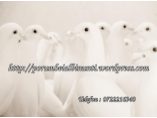Porumbei albi nunti - Porumbei albi pentru nunta Constanta #3