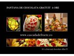 Cascada de fructe & Fantana ciocolata gratuit 4ore - Cascada de fructe & Fantana ciocolata gratuit 4 ore #1