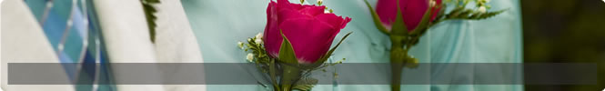 moda 4