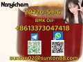 20320-59-6    BMK   PMK