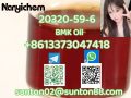 20320 -59-6    BMK   PMK