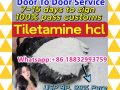 Top quality Tiletamine hcl low price CAS 14176-50-2 in stock fast delivery Whatsapp: +86 18832993759