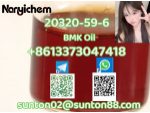 20320 -59-6    BMK   PMK #1