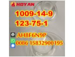 CAS 1009-14-9 valerophenone door to door Kazakhstan Slovakia #1