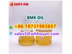 CAS 20320-59-6 BMK oil BMK PMK Supplier #1