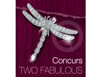 Concurs TWO Fabulous - Concurs - Castiga un Voucher 100$ in Bijuterii de argint #1