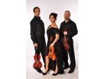 Cvartet homeofstrings #2