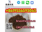 High Purity 99% 1-(benzo[d][1, 3]dioxol-5-yl)-2-bromopropan-1-one CAS 52190-28-0 #8