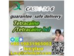 High purity Tetracaine 98% supplier in China #3