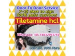 Top quality Tiletamine hcl low price CAS 14176-50-2 in stock fast delivery Whatsapp: +86 18832993759 #1