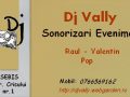 Dj Vally - Sonorizare Evenimente