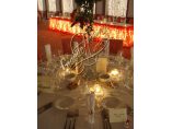 Grande Maison des Mariages #2