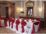 Decoratiune sala - SILVER SWAN #13