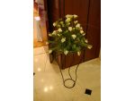 Aranjament floral intampinare invitati - allevents - Aranjamente si decoratiuni #5