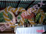 Baloane,decoratiuni evenimente,decoratiuni restaurante,baloane heliu,baloane inscriptionate,aranjamente baloane - Decoratiuni din BALOANE #2